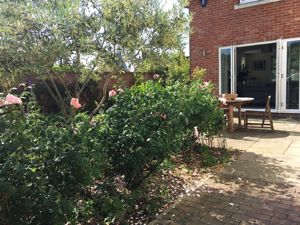 Photo 15- click for photo gallery